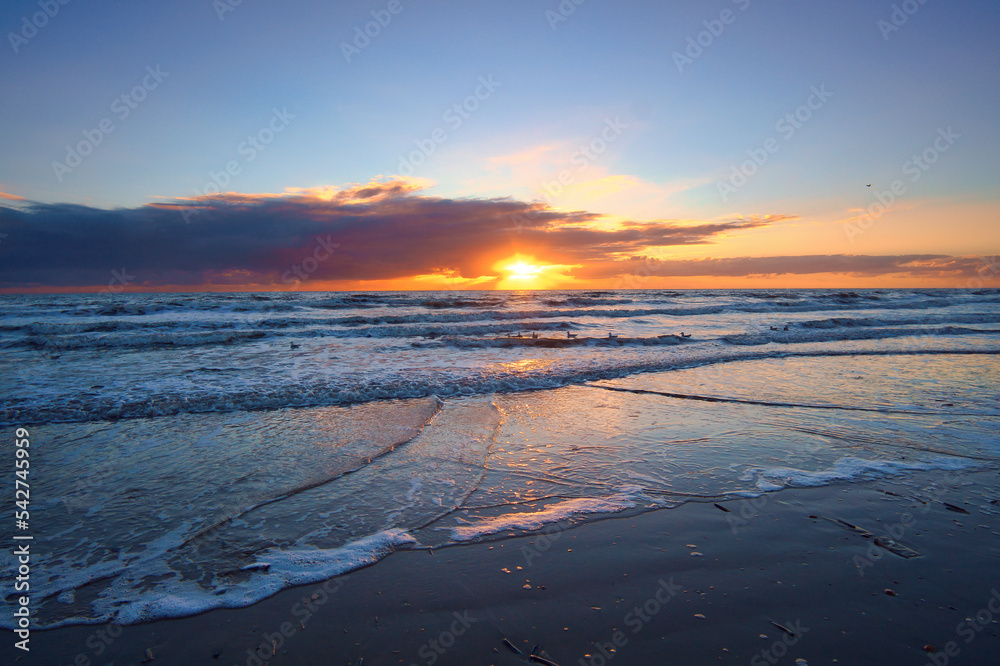 Sunset on the beach in Denmark. Shells in the foreground. Walk on the coast