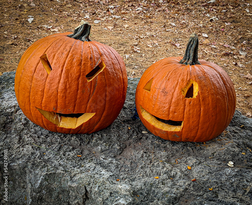 Two Jack O' Laterns