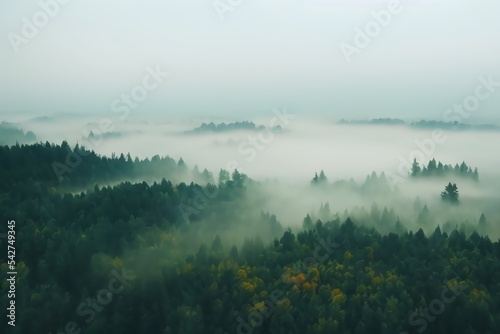 early morning sunrise foggy forrest, treetips standing out of fog autumn fall foggy fall sunrise drone shot © YNYS