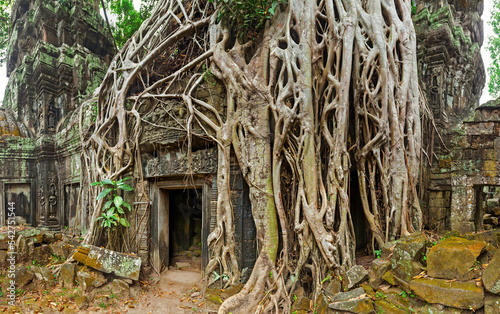 Panorama of ancient stone door and tree roots, Ta Prohm temple ruins, Angkor, Cambodia