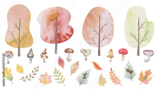 Watercolor illustration of hand painted trees with leaves, mushrooms champignon, flybane, fungus. Forest, woodland, park plant. Autumn foliage. Isolated fall clip art for textile prints, posters photo