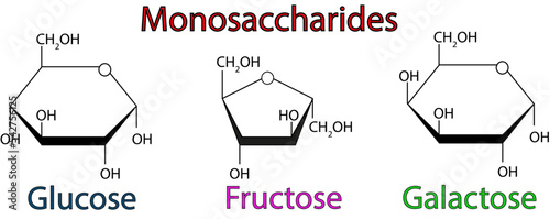 Chemical Illustration Of Monosaccharides. Glucose  Fructose And Galactose. Vector illustration