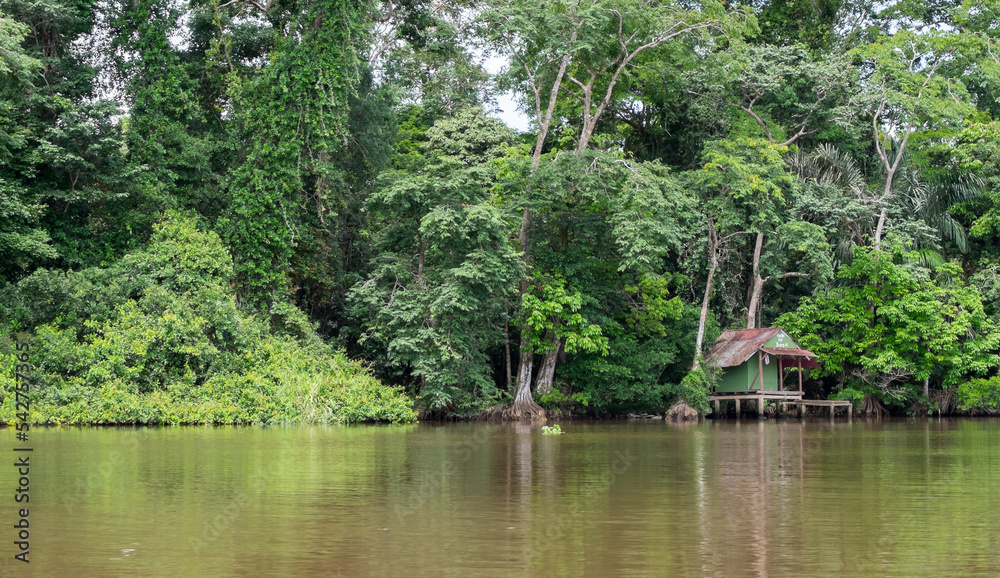 Paisaje selvático y casa embarcadero en el canal de Tortuguero, Costa Rica Paisaje selvático y casa embarcadero en el canal de Tortuguero, Costa Rica