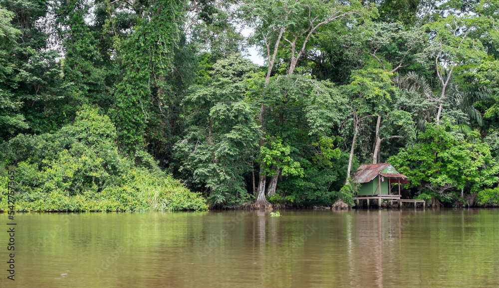 Paisaje selvático y casa embarcadero en el canal de Tortuguero, Costa Rica