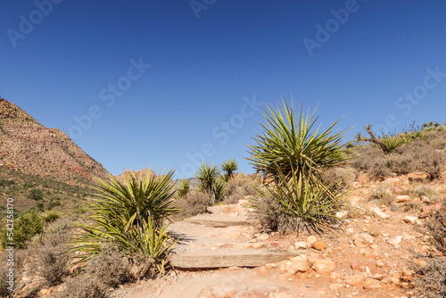 Photography trail at red rock canyon national conservation area
