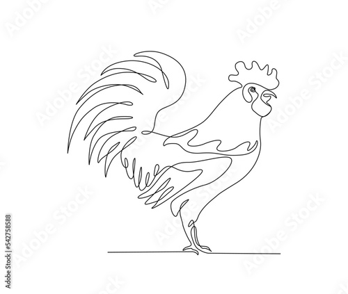 Continuous one line drawing of rooster. Male chicken simple line art vector design.