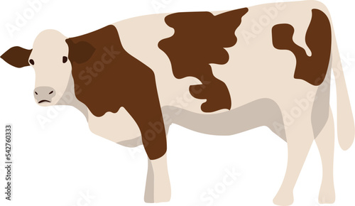 brown cow, black cow