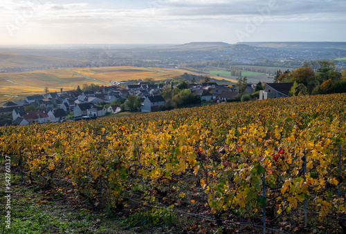 Panoramic autuimn view on champagne vineyards and village Hautvillers near Epernay, Champange, France photo