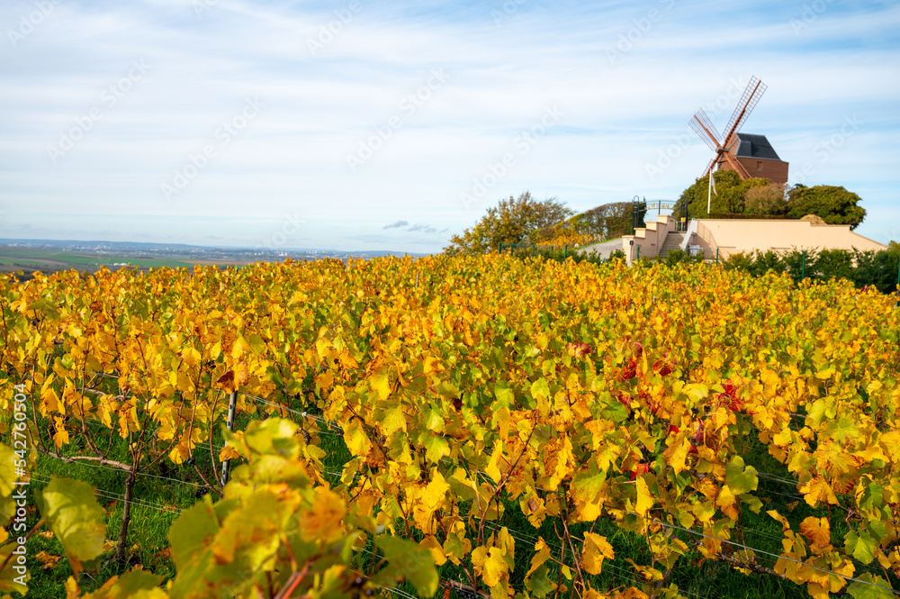 Φωτογραφία Autumn view on colorful grand cru Champagne vineyards near Moulin de Verzenay, p