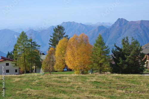 Mountain panorama and trees in autumn colors