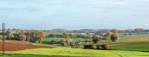 fresh new crop on fields between brussels and charleroi in belgium photo