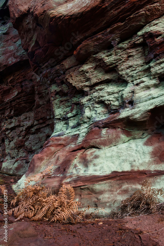 Side of a red and green rock wall with layers in the Palatinate Forest of Germany. photo