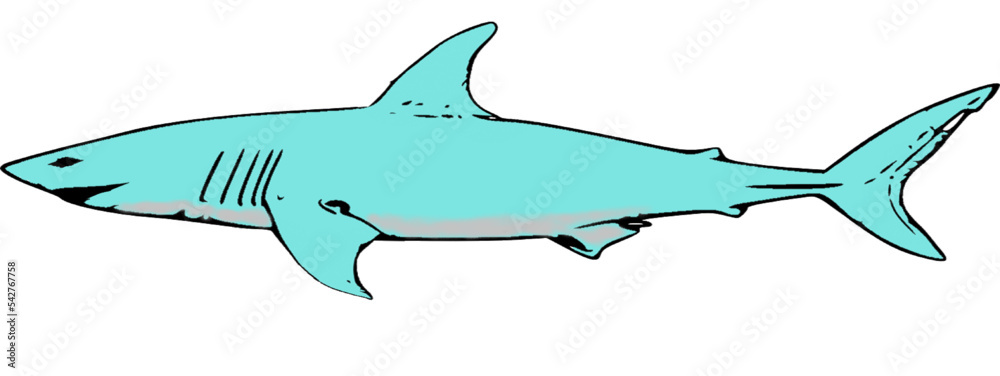 Fototapeta premium shark cartoon isolated on white
