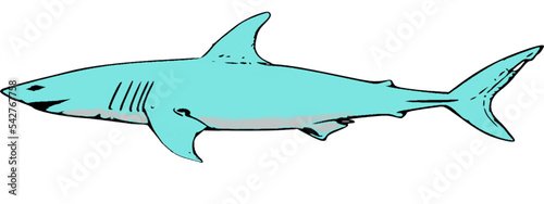 shark cartoon isolated on white