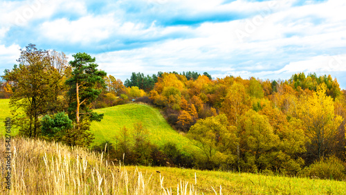 Fototapeta Naklejka Na Ścianę i Meble -  The Bieszczady hills covered with golden and orange colors.