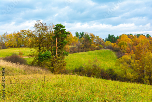 Fototapeta Naklejka Na Ścianę i Meble -  The Bieszczady hills covered with golden and orange colors.
