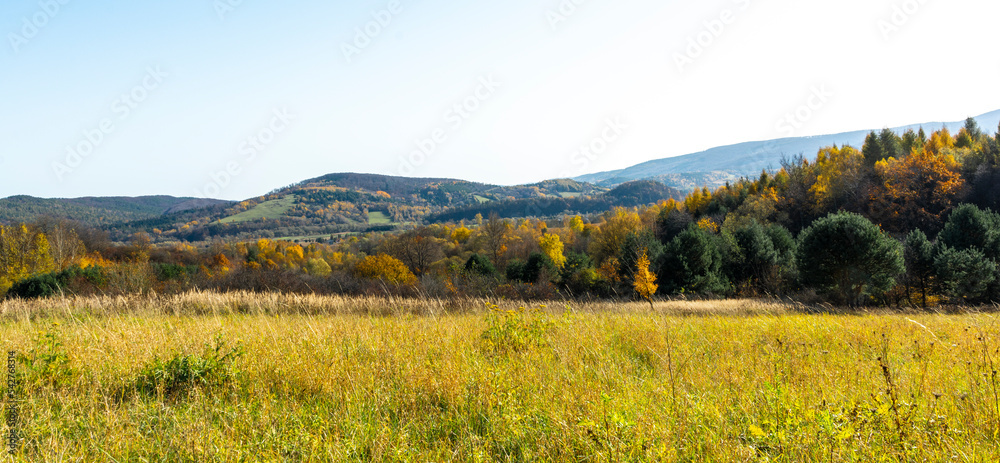 The Bieszczady hills covered with golden and orange colors.