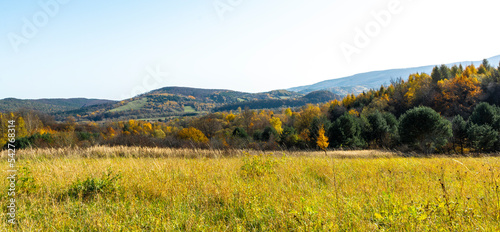 Fototapeta Naklejka Na Ścianę i Meble -  The Bieszczady hills covered with golden and orange colors.