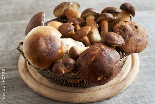 Fresh wild edible mushrooms on a table