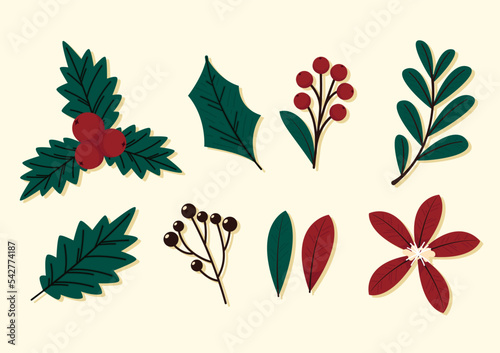 Mistletoe branches. Holly, ilex branch with berry and leaves. Set of mistletoe. Christmas decorations. Isolated illustration on a blue background.