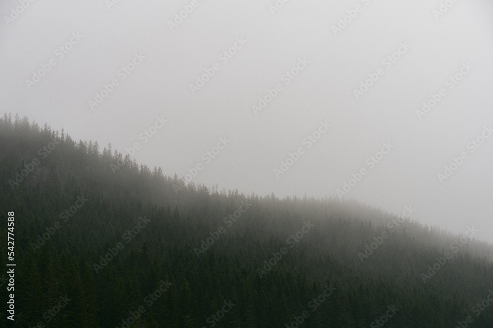 Fototapeta premium Oksbakklia Hill, part of the Totenaasen Hills, Norway, a foggy day in late fall.