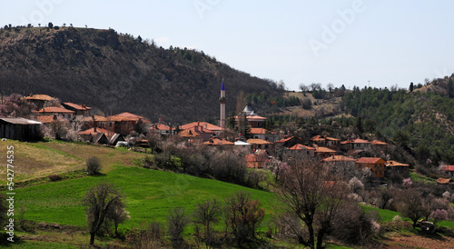 Tekke Village, located in Ankara, Turkey, is a very old Turkish village. photo