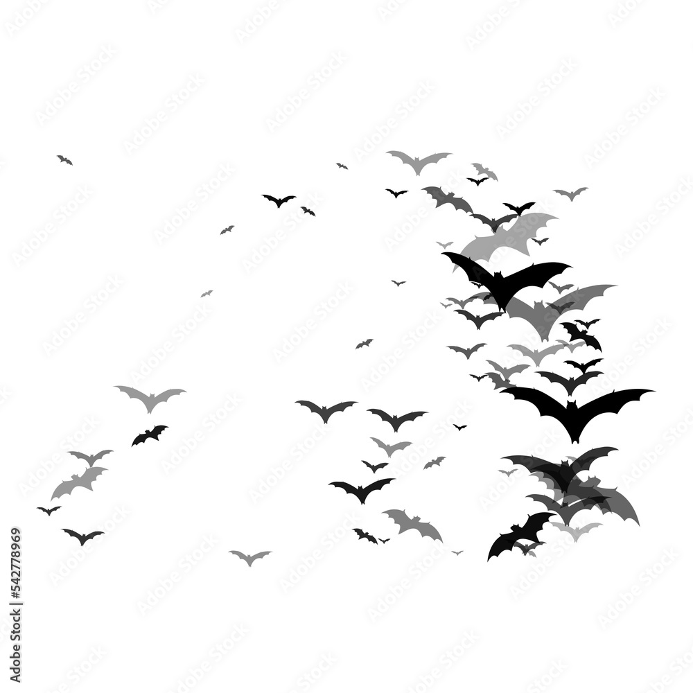 Fototapeta premium Bat PNG Format With Transparent Background