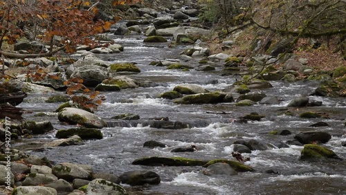 Autumn cascades in the Middle prong of the Little Pigeon River in Great Smoky Mountains, TN, USA (4K/24p, ProRes HQ, 10-bit)