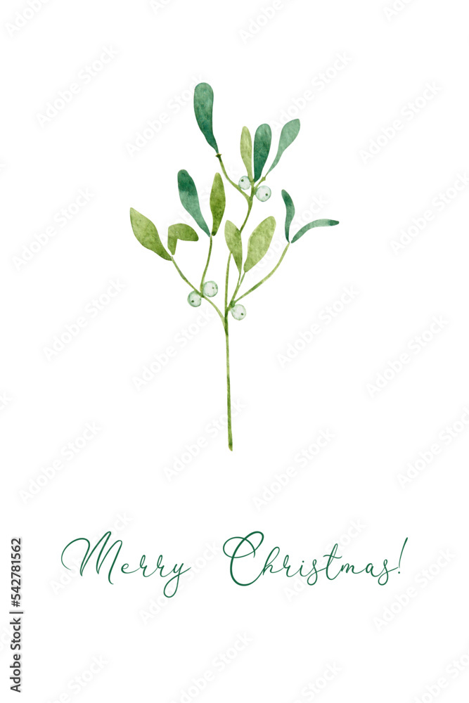 Hand drawn watercolor Christmas card with a mistletoe branch. Happy new year card.