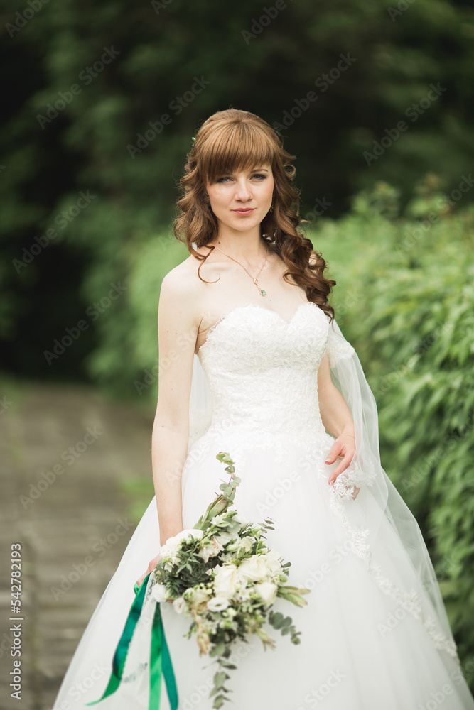 Beautiful luxury bride in elegant white dress Beautiful luxury bride in elegant white dress
