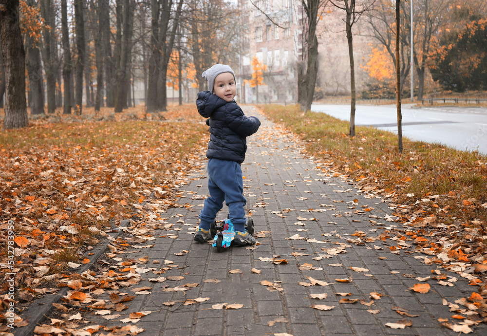 happy child 2 years old rides a scooter in autumn. Outdoor games during the cold season.