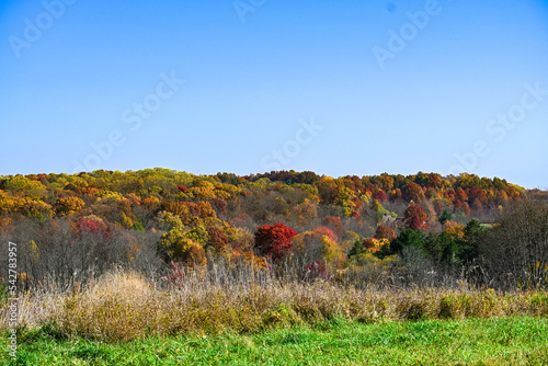 Autumnal foliage on lake, flouting doc with colorful trees at the background, Silvercreek, Ohio 