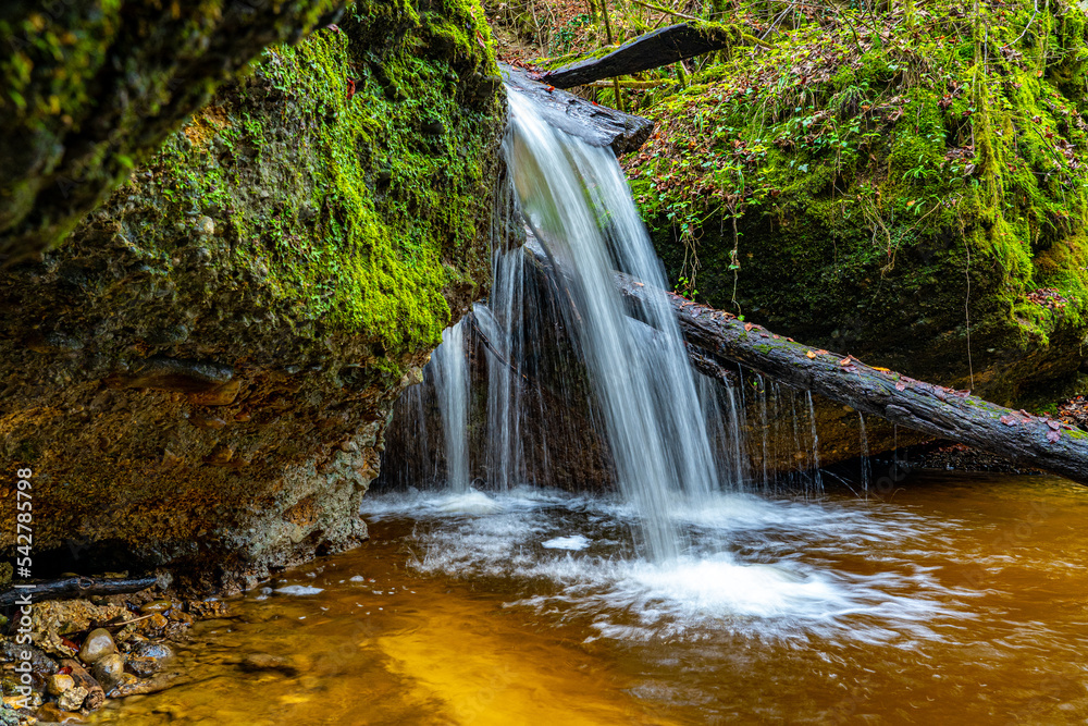 Obraz premium Der herbstliche Kienbach