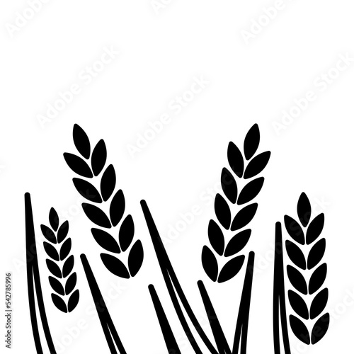 Wheat, barley, rice icon. Hand drawn sketch style oat with grain