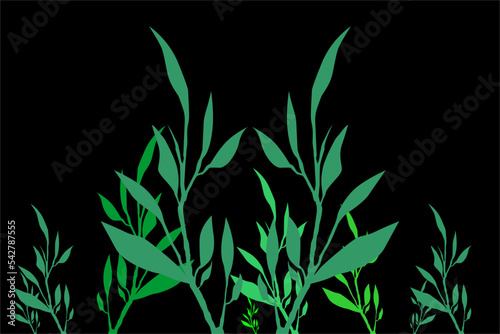 green grass background vector design  looks fresh and unique.