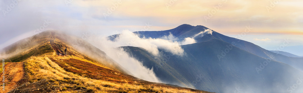 Autumn landscape, panorama, banner - view of a mountain range covered with meadows with downhill bikers on a dirt road in the Carpathians, Ukraine