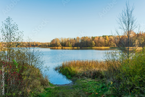 View of a blue lake with coastal dry vegetation and an autumn forest on the horizon. Nature landscape background on sunny autumn evening with clear sky