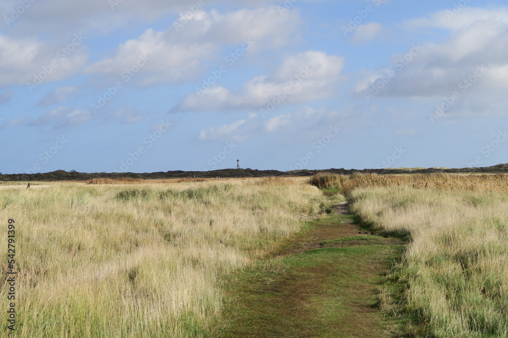 Obraz premium Im Osten der Nordseeinsel Baltrum führt dieser Weg in Richtung des Wattenmeers und zu den Dünen ganz am Ende der Insel. An diesem Oktobertag ist es sonnig und teils wolkig.