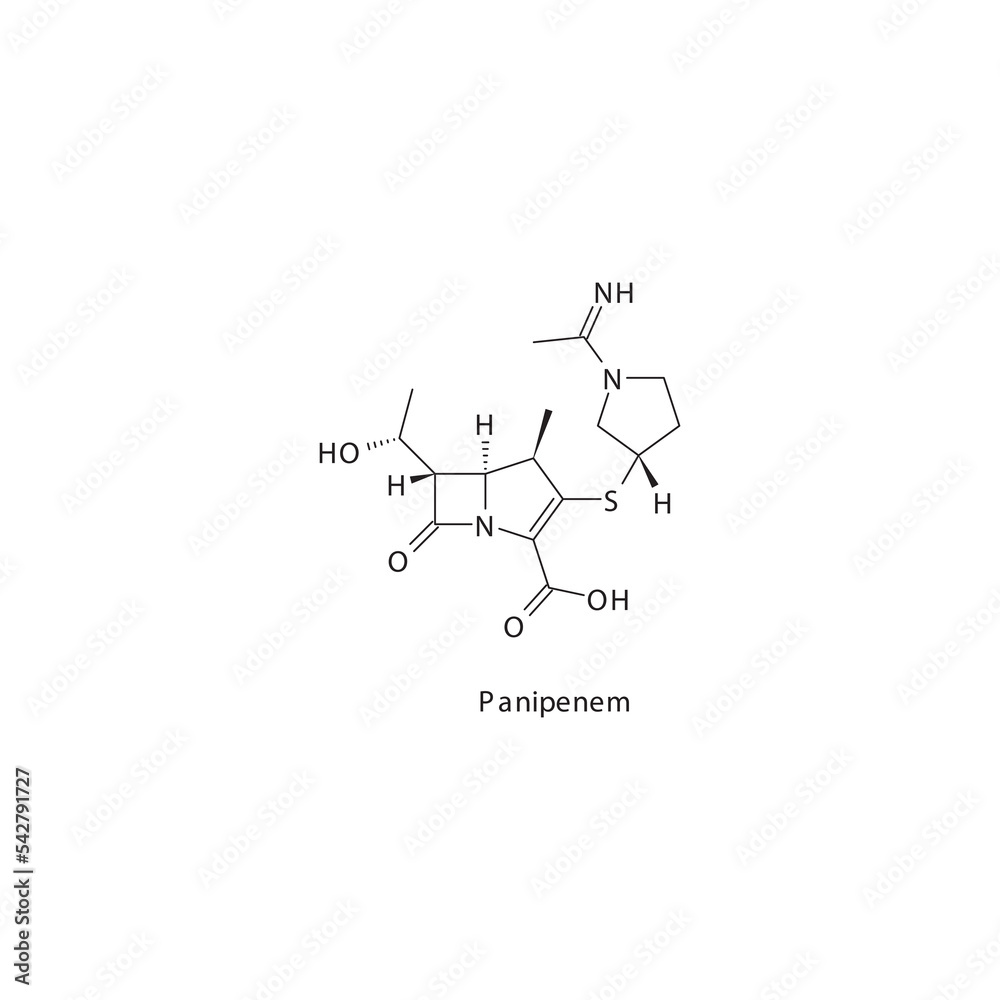 Obraz premium Panipenem&nbsp; flat skeletal molecular structure Carbapenem drug used in bacterial infection treatment. Vector illustration.