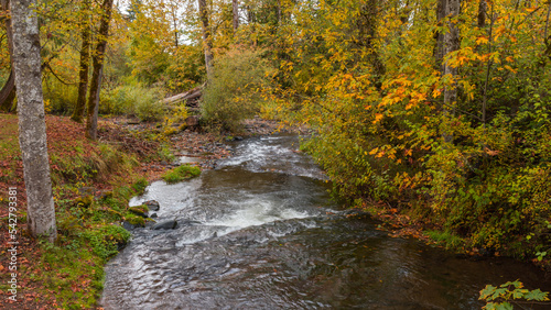 Фотография Fall Colors Beyond Larwood Covered Bridge in Linn County, Oregon