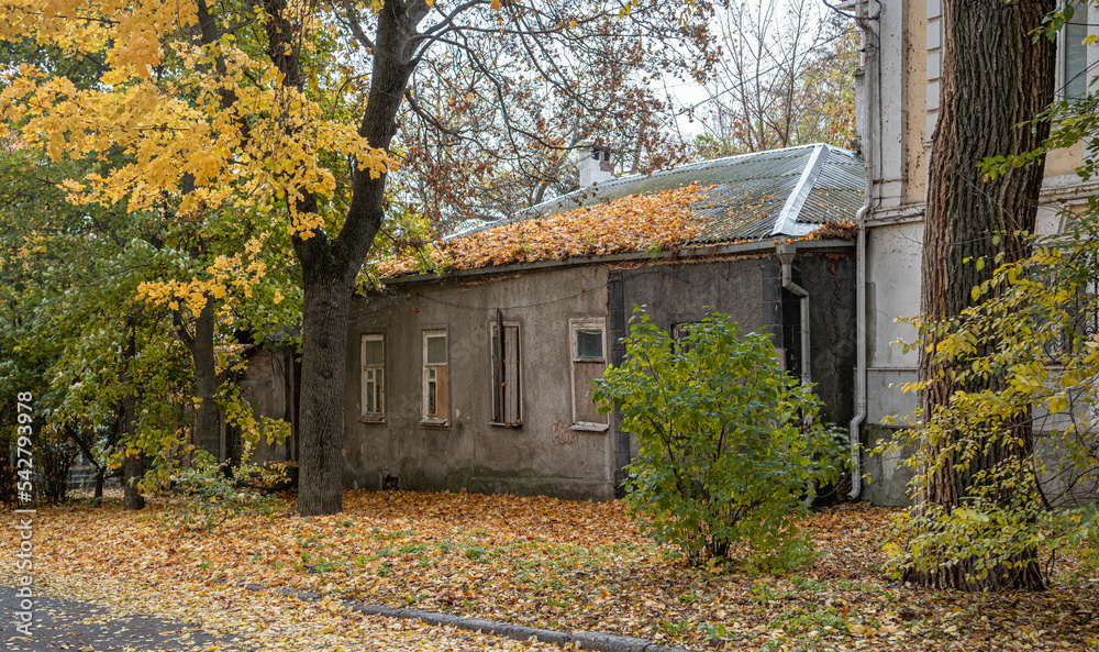 Abandoned house on a back street, with yellow leaves lying on the roof. Abandoned house on a back street, with yellow leaves lying on the roof.