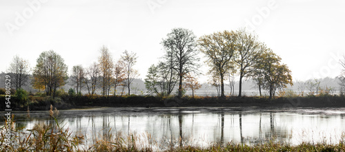 Fototapeta Naklejka Na Ścianę i Meble -  panorama drzewa nad wodą jeziorem