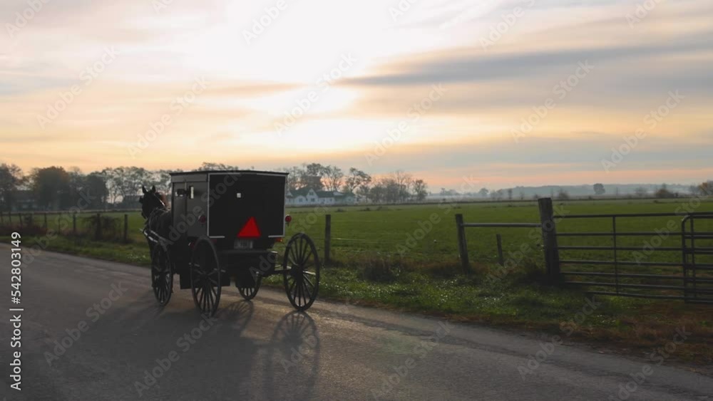 Amish horse and buggy travels down rural road toward sunup.