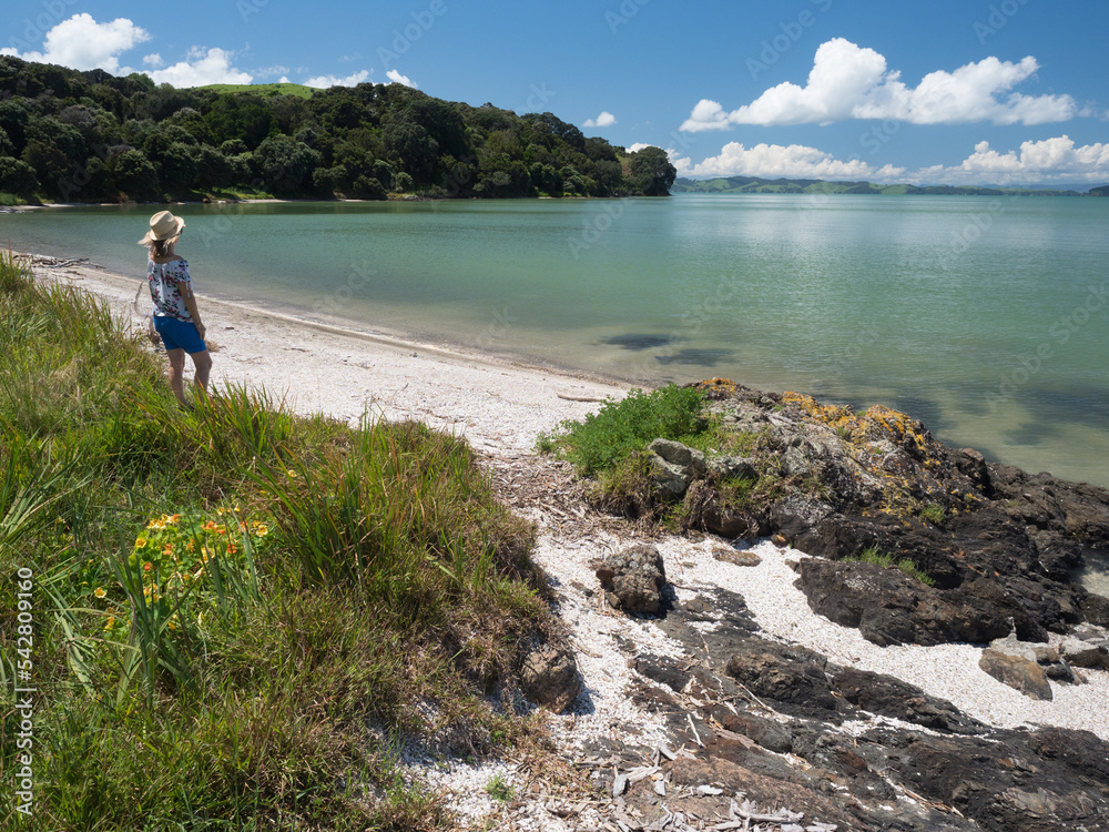 Fototapeta premium A lady stands on a white shell beach in the Duder Regional Park ,New Zealand. View over Wairao bay , Whakakaiwhara peninsula