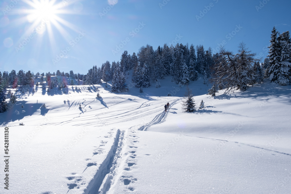 two ski tourers in sunny, deep snowy winter landscape two ski tourers in sunny, deep snowy winter landscape