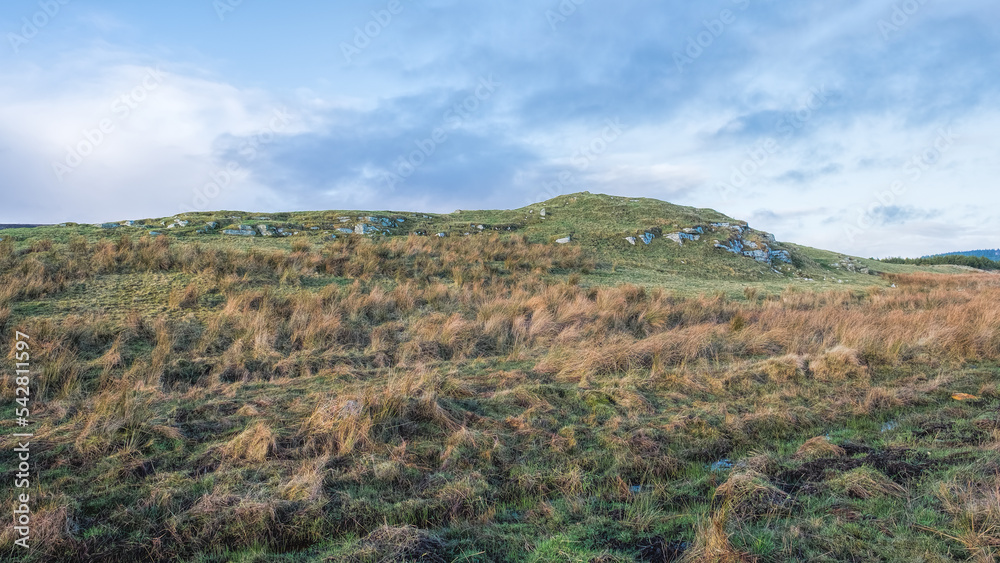 Appnag tulloch broch, Forse House