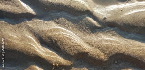 Sandy Beach Texture
