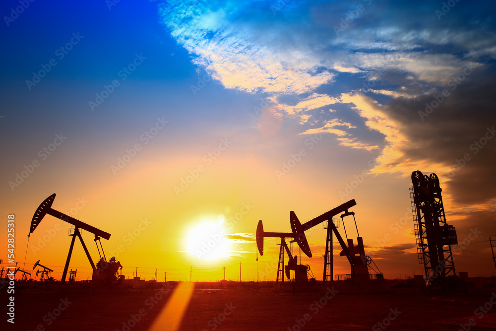 The oil pump, industrial equipment The oil pump, industrial equipment