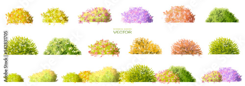 Vector watercolor blooming flower tree or forest side view isolated on white background for landscape and architecture drawing,elements for environment and garden,botanical for section in autumn   