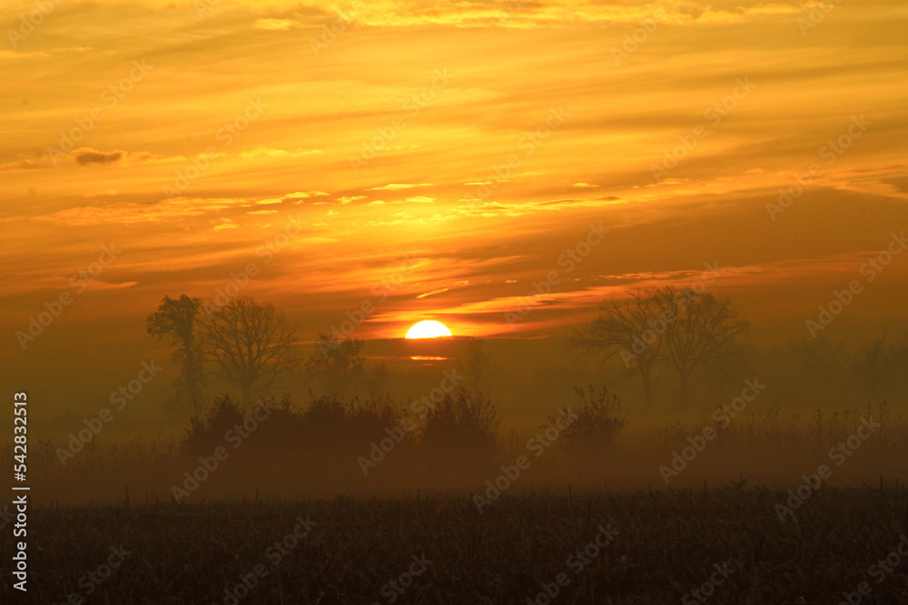 sunrise over the field